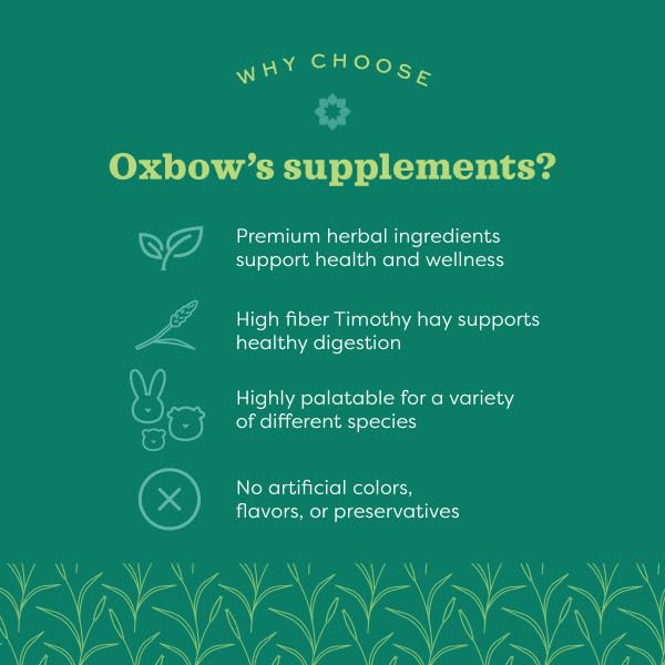 Oxbow Papaya Support — foin de timothy, base fibreuse pour la digestion.
