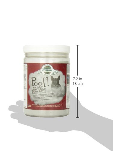 Degus dans le bain de poudre bleue POOF! pour le pelage.