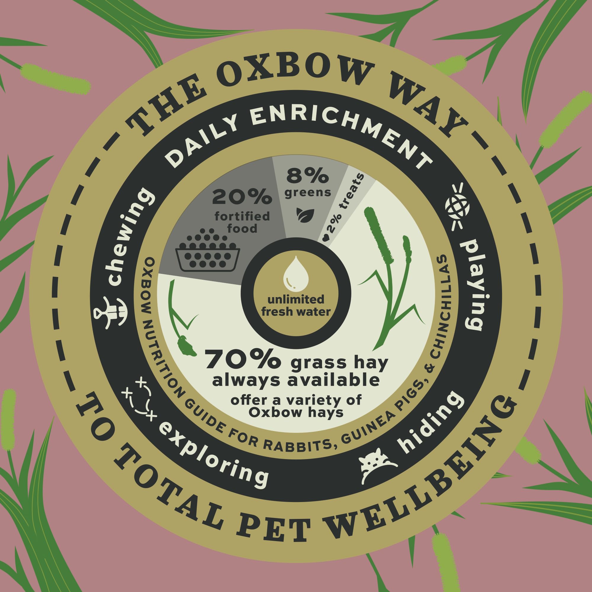Oxbow Prime Cut foin – enrichissement quotidien pour petits animaux.