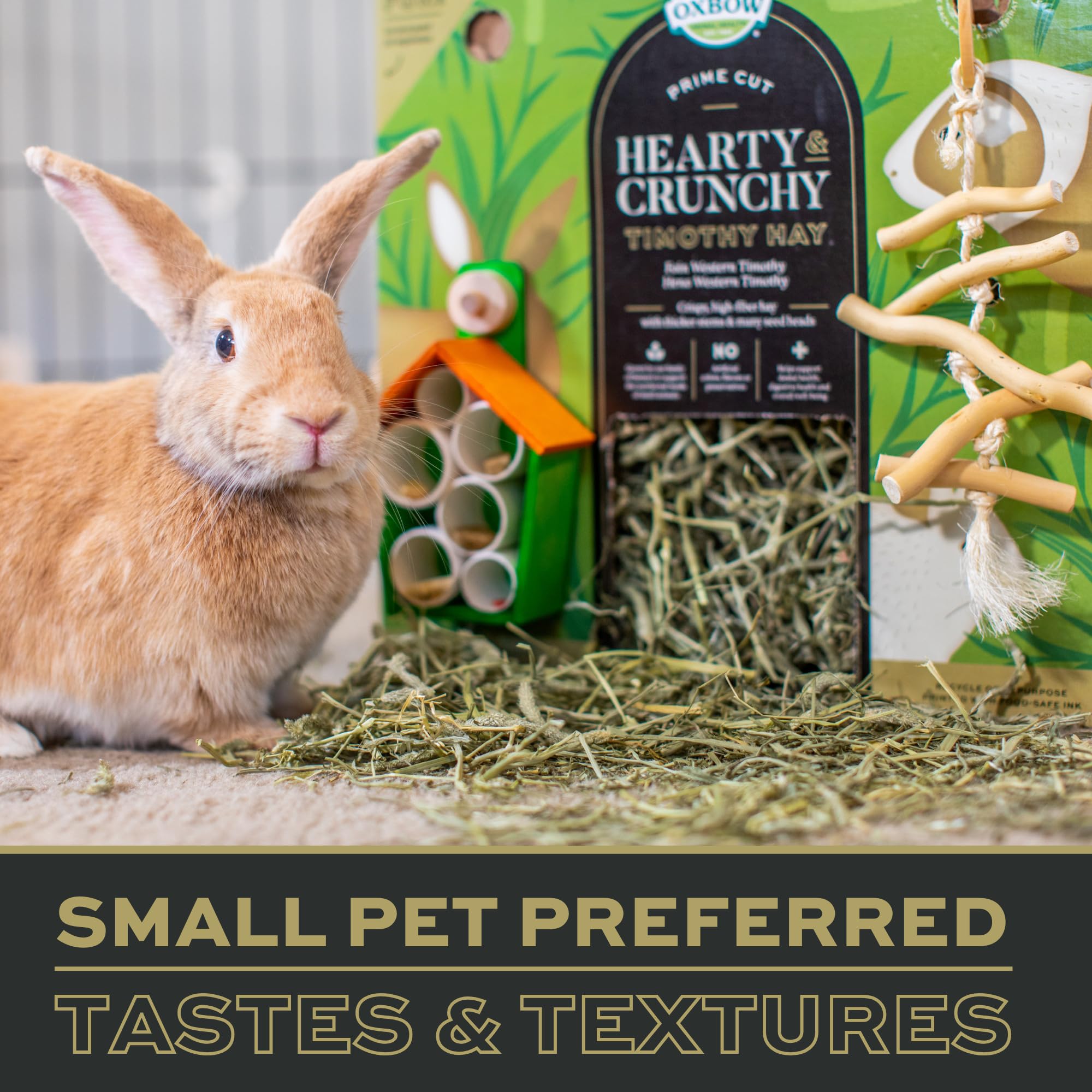 Oxbow Prime Cut Foin de Timothy - sélection soignée pour petits animaux exigeants