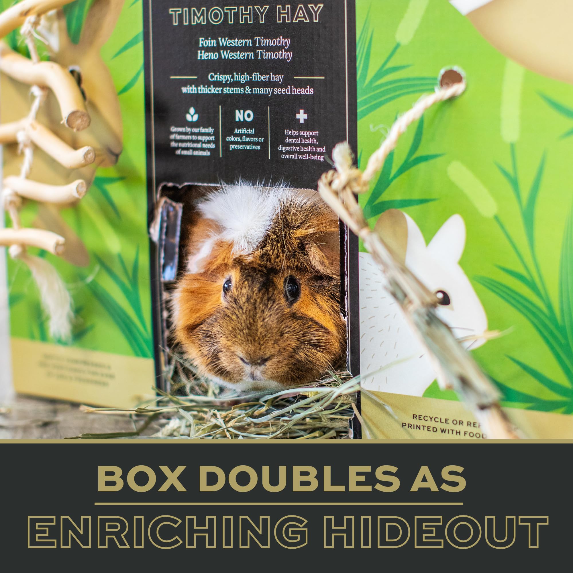 Oxbow Prime Cut Foin de Timothy - texture croustillante pour enrichissement et alimentation
