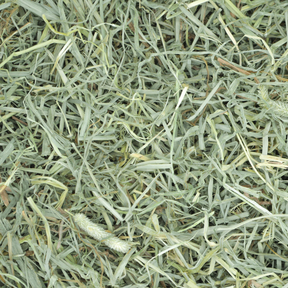 Oxbow Prime Cut foin – sans additifs artificiels.