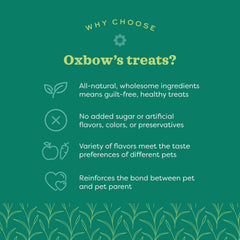 Oxbow Simple Rewards offre un enrichissement ludique pour petits animaux.