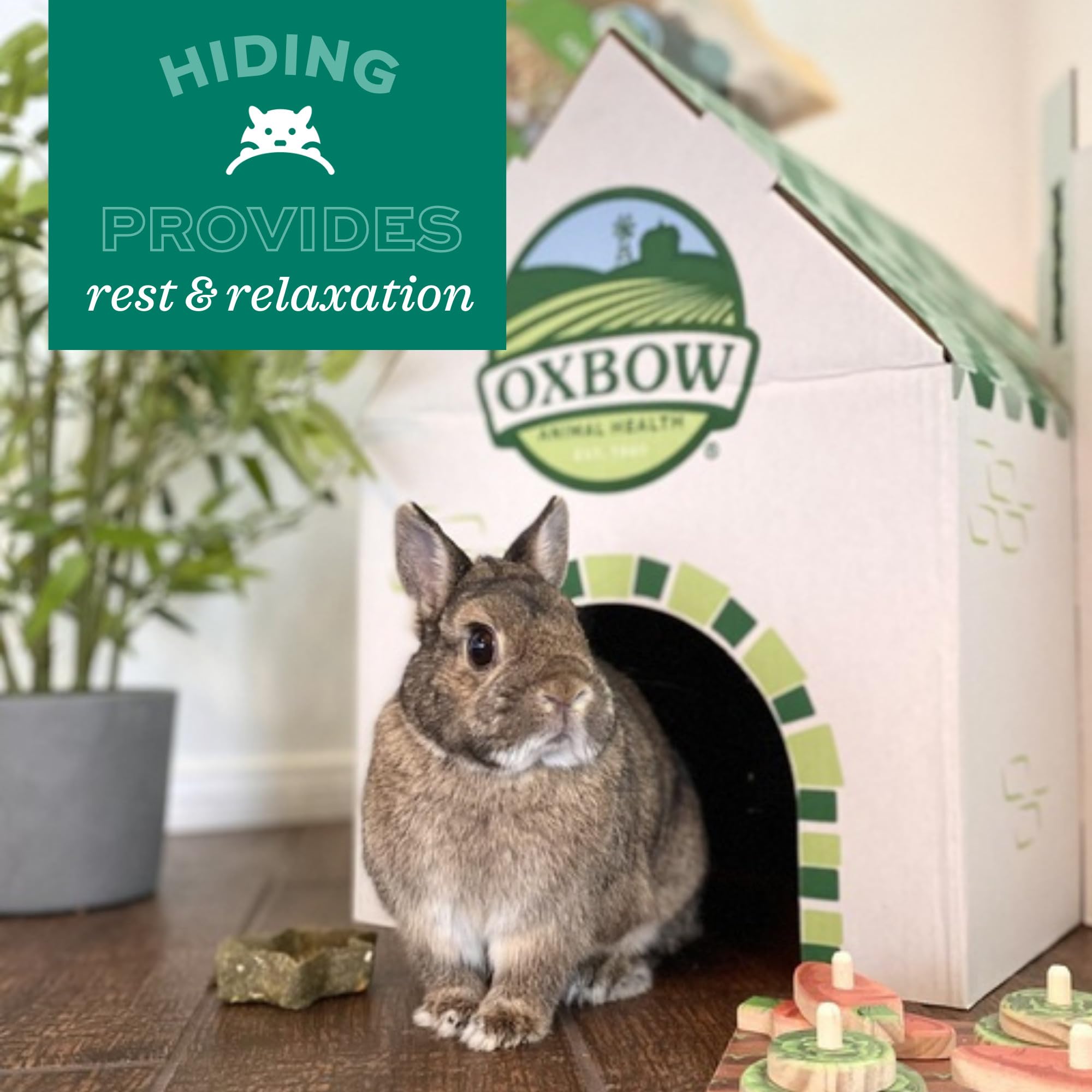Oxbow Timothy Hay Tunnel favorise exploration et recherche de nourriture.