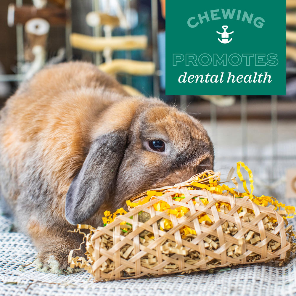 Oxbow Vie enrichie Timothy Sucette conçue pour chinchillas et hamsters, stimulation et enrichissement.