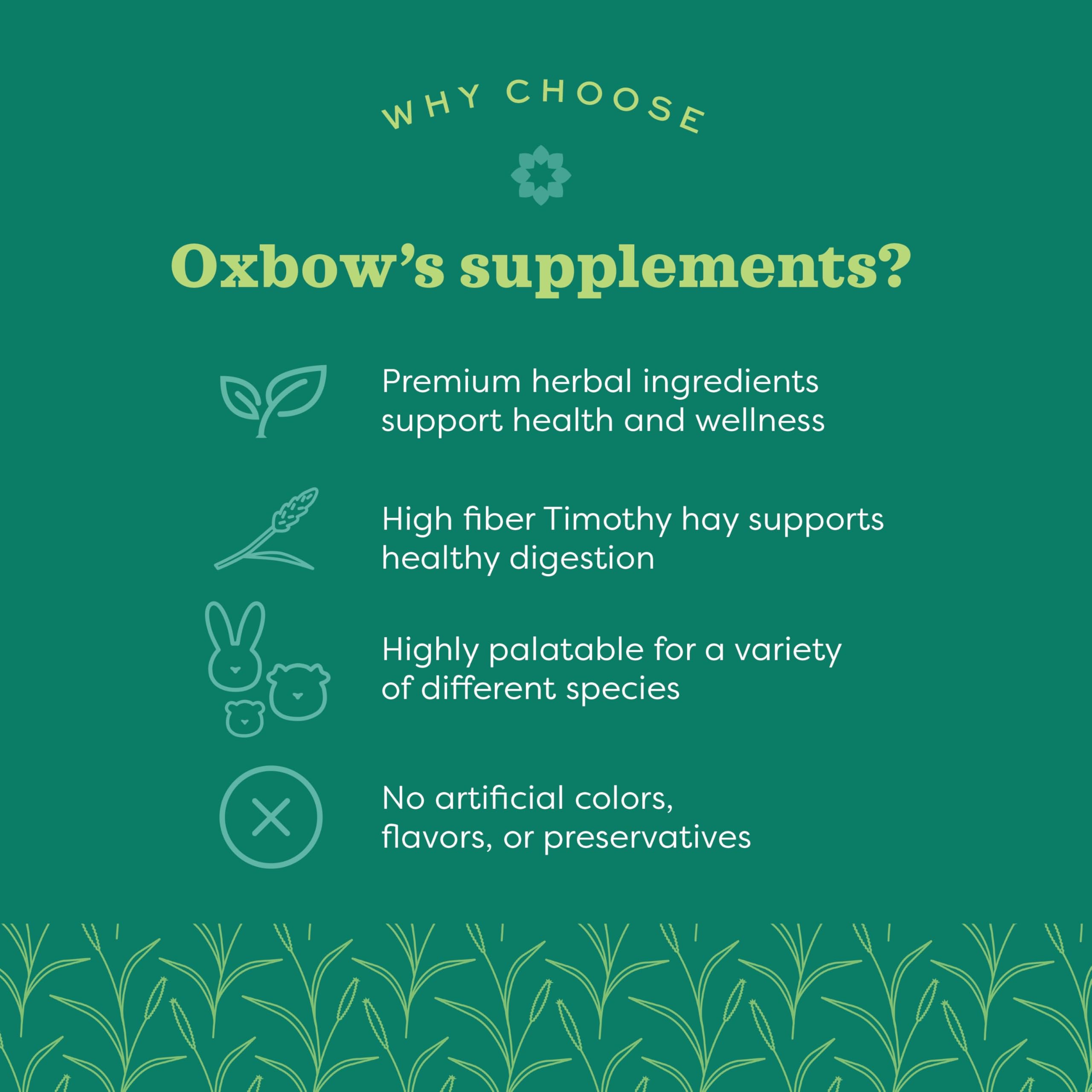 Dose quotidienne d'Oxbow Vitamine C, intégration simple à la routine.