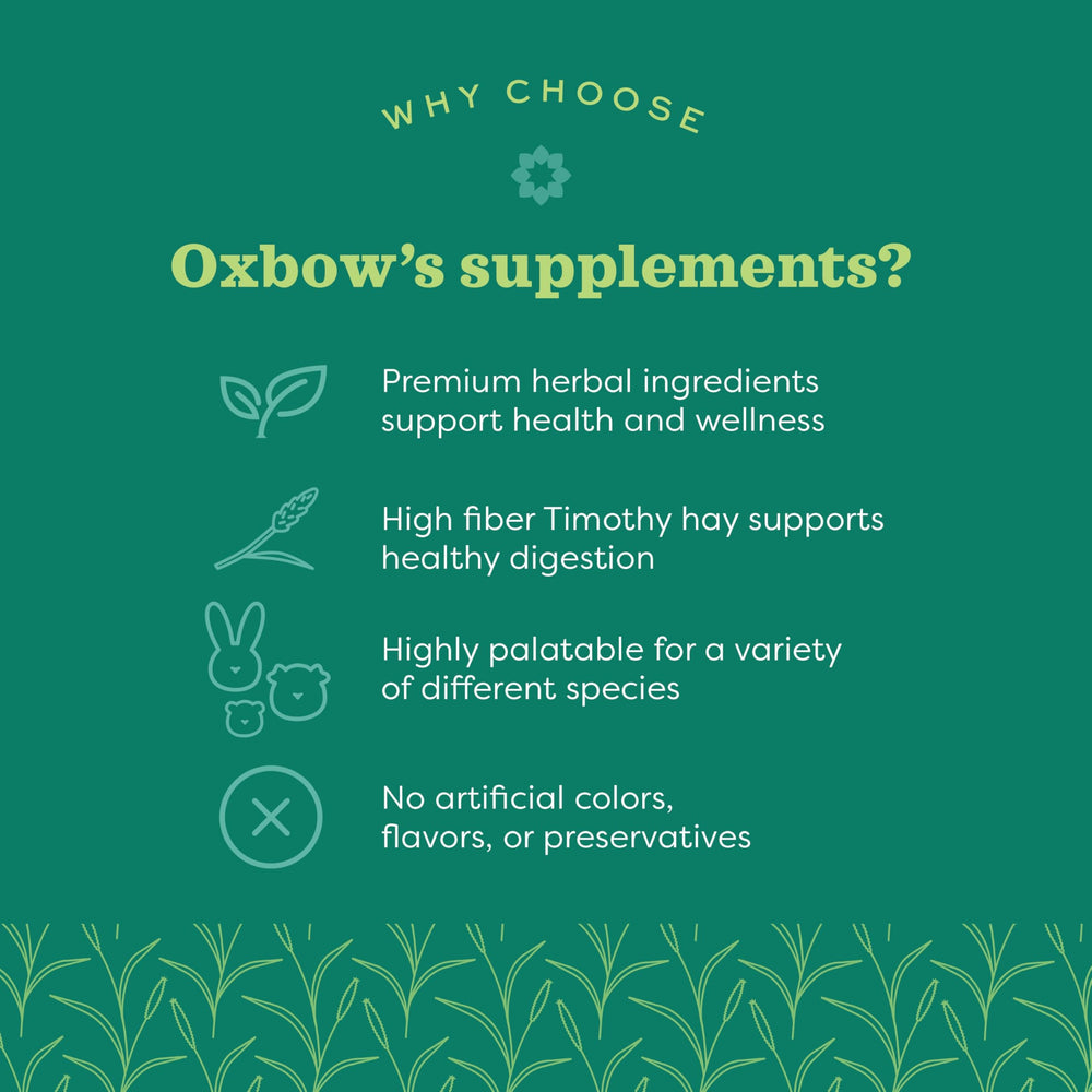 Dose quotidienne d'Oxbow Vitamine C, intégration simple à la routine.