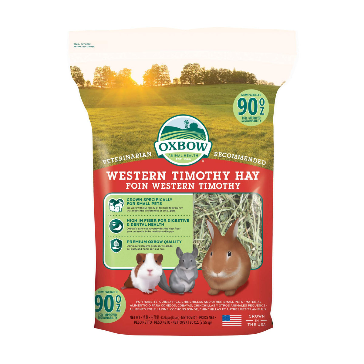 Foin Western Timothy d'Oxbow en tas frais, idéal pour l'alimentation quotidienne.