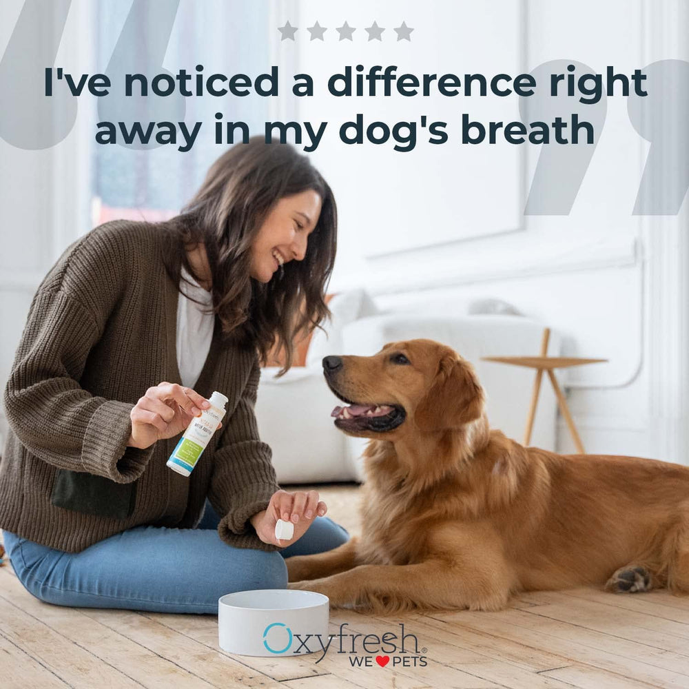Additif eau dentaire Oxyfresh pour animaux, mélange facile dans bol