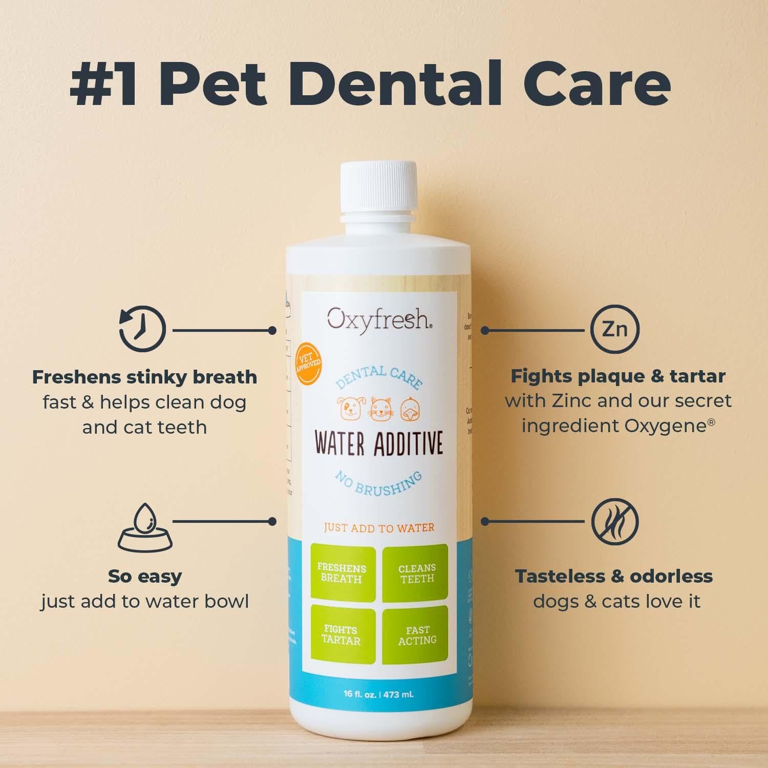 Oxyfresh Solution Dentaire pour Animaux : bol d’eau, ajout quotidien pour une hygiène bucco-dentaire pratique.
