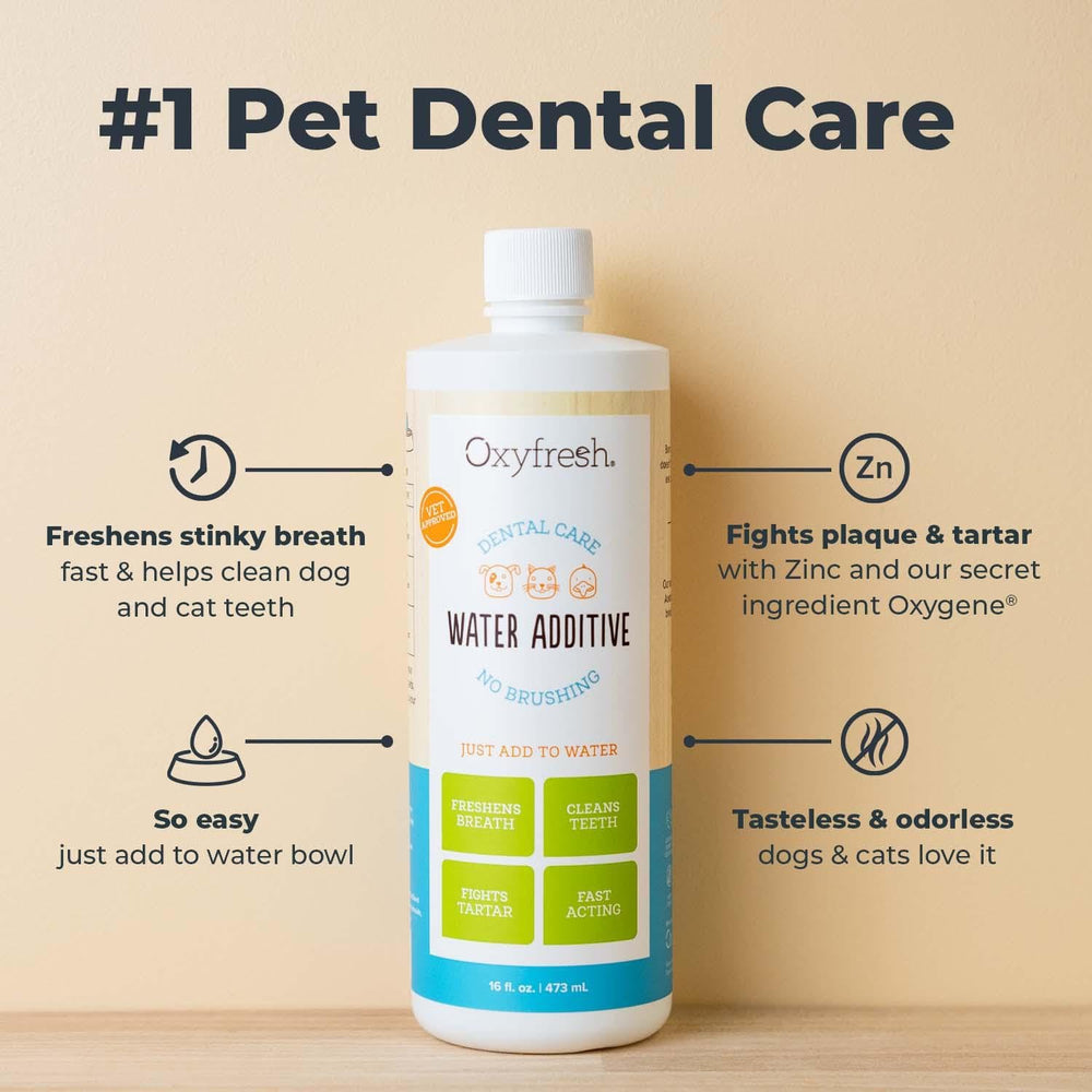 Oxyfresh Solution Dentaire pour Animaux : bol d’eau, ajout quotidien pour une hygiène bucco-dentaire pratique.