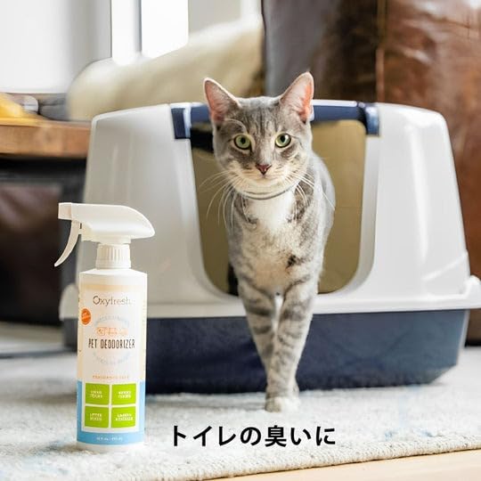 Oxyfresh: application d'accidents rapide pour neutraliser urine et vomi.