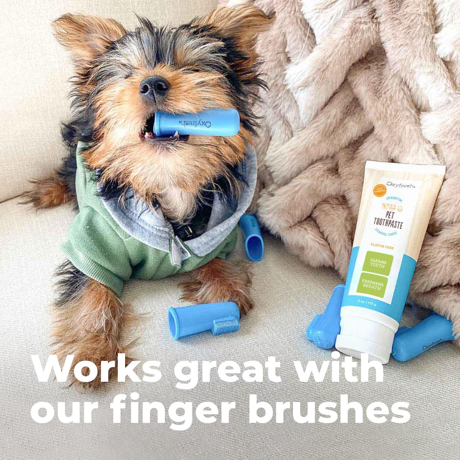 Gel accessible sur patte de chat avec Oxyfresh.