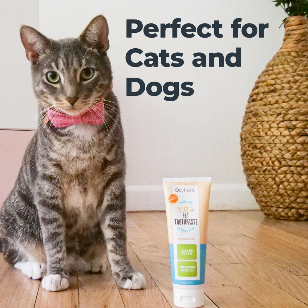 Brosse dentaire pour chat avec gel doux Oxyfresh.