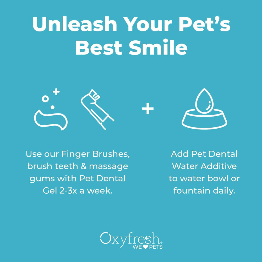 Chat utilisant le kit dentaire Oxyfresh pour soin buccal doux