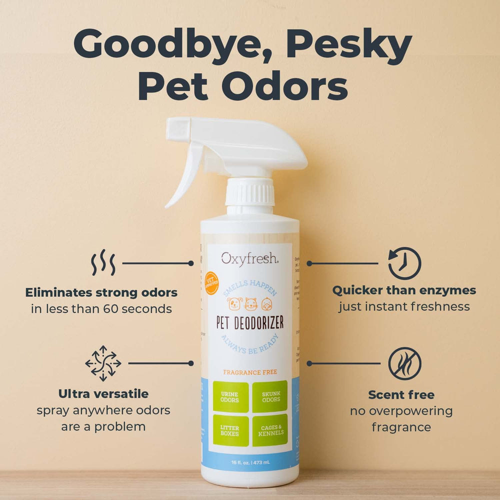 Oxyfresh: élimination des odeurs dans l’habitacle de voiture pour un intérieur plus agréable.
