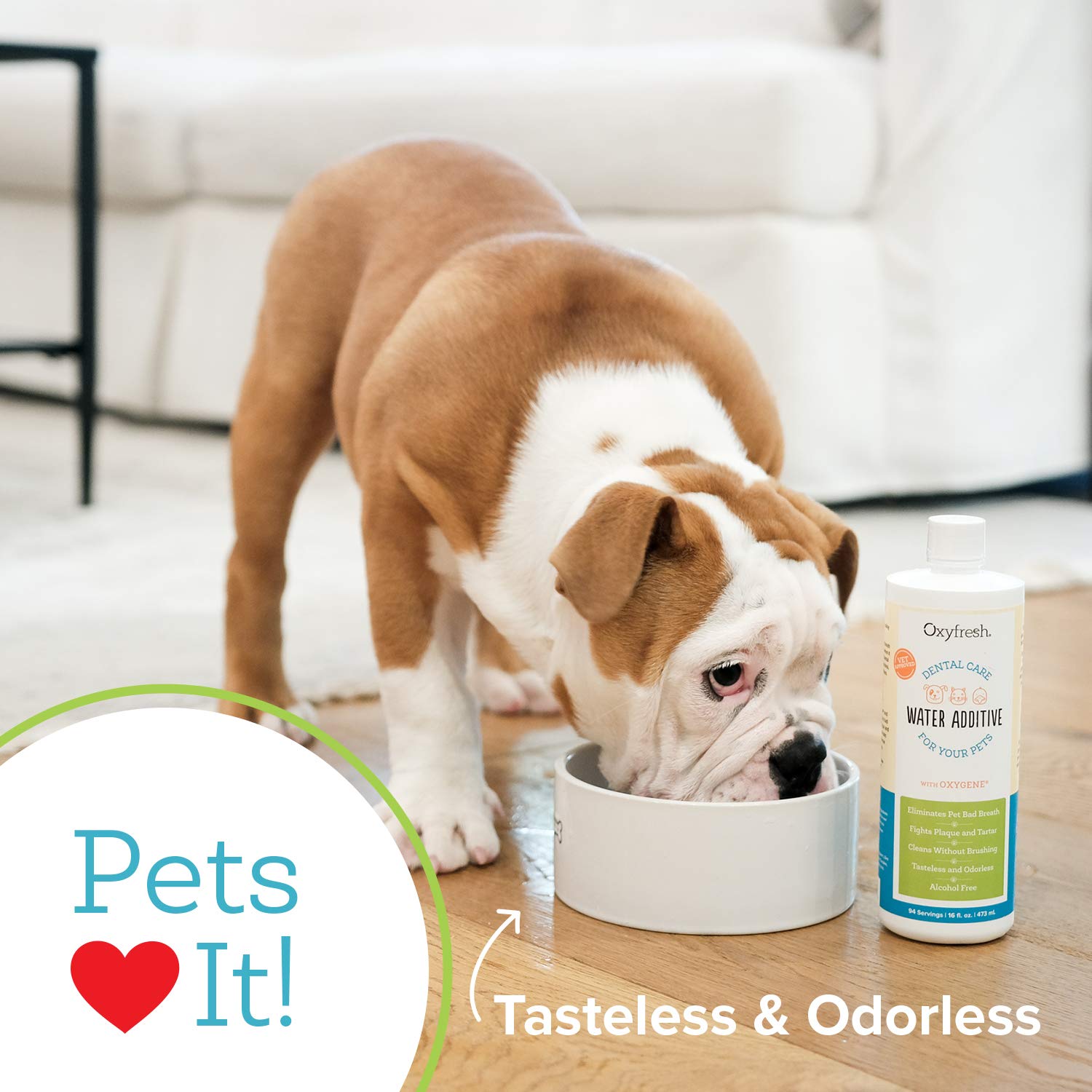Oxyfresh produit dentaire pour animaux – fabriqué aux États-Unis avec des ingrédients de qualité