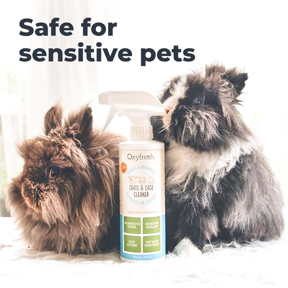 Oxyfresh Sans Colorant Nettoyant: sans colorant et sans parfum.