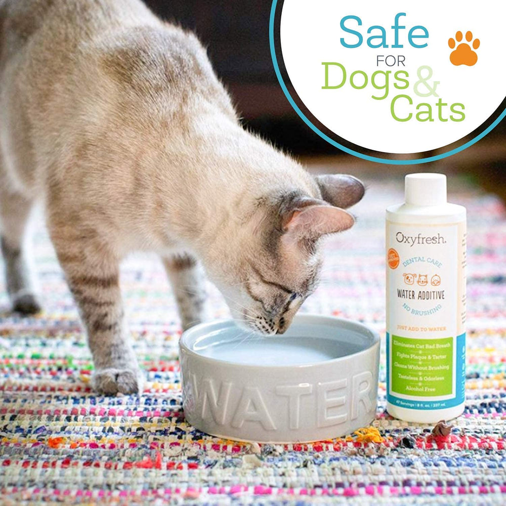 Oxyfresh Solution Dentaire pour Animaux : chat avec bouche saine et dents propres grâce à l’ajout d’eau.