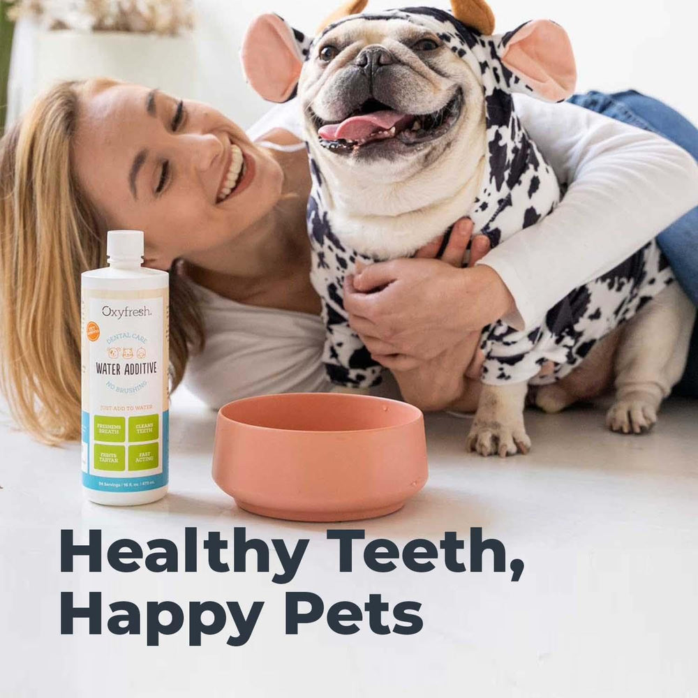 Oxyfresh Solution Dentaire pour Animaux : chien profitant d'une haleine fraîche après l’ajout à l’eau.