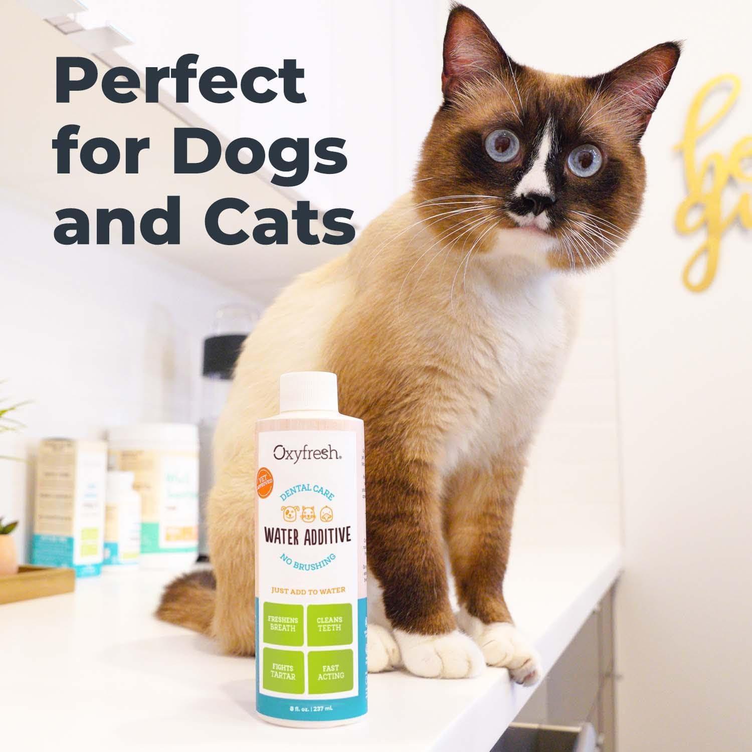 Oxyfresh Solution Dentaire pour Animaux : sans odeur ni goût, facile à intégrer dans l’eau.