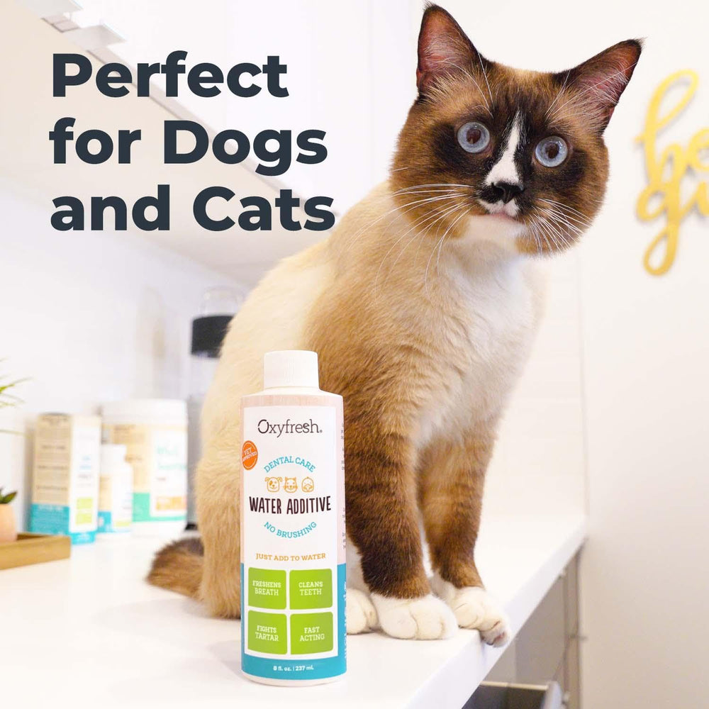 Oxyfresh Solution Dentaire pour Animaux : sans odeur ni goût, facile à intégrer dans l’eau.