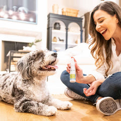 Oxyfresh-spray-haleine-chats : usage simple adapté même pour les chats difficiles.