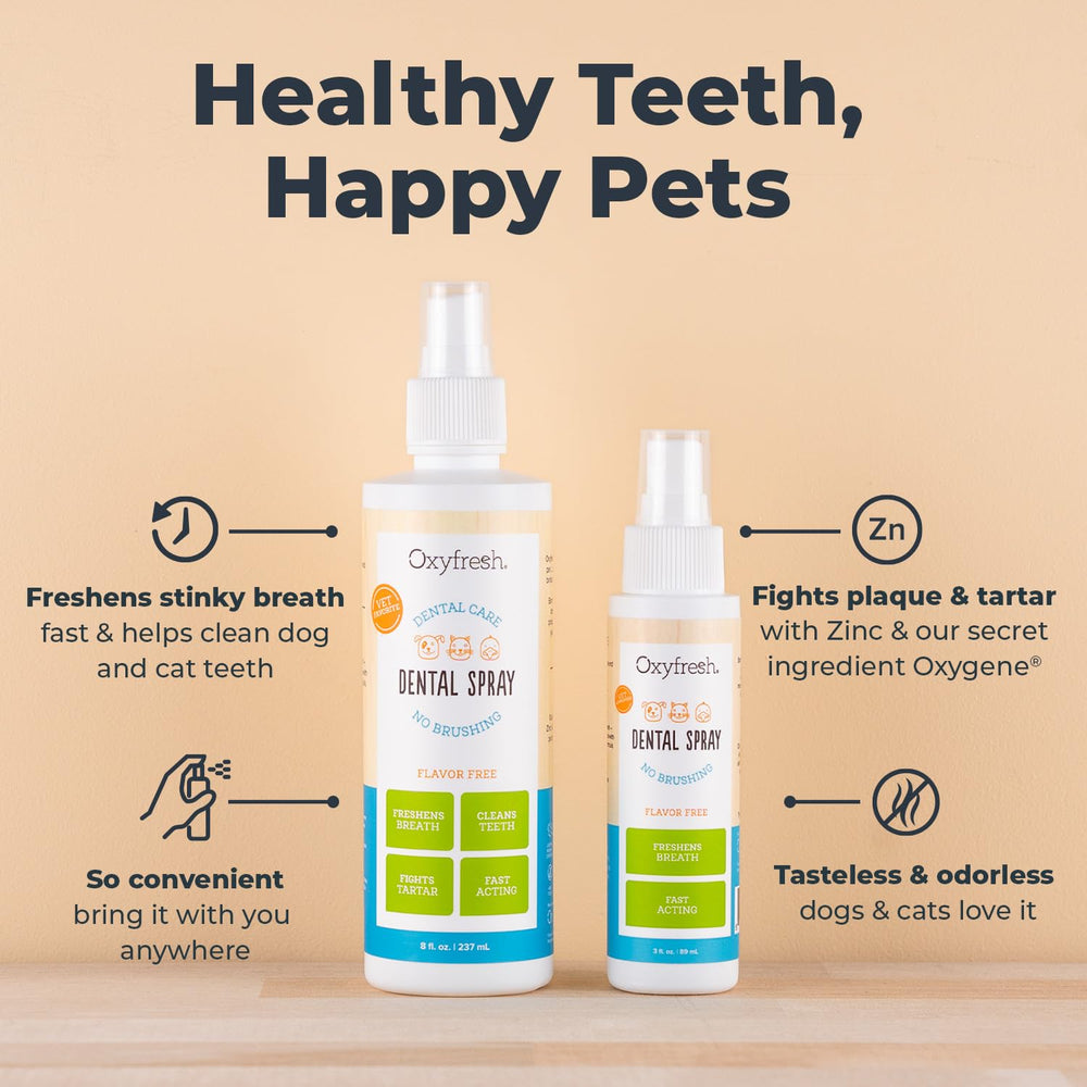 Oxyfresh-spray-haleine-chiens : solution pratique après les repas pour une haleine plus fraîche.