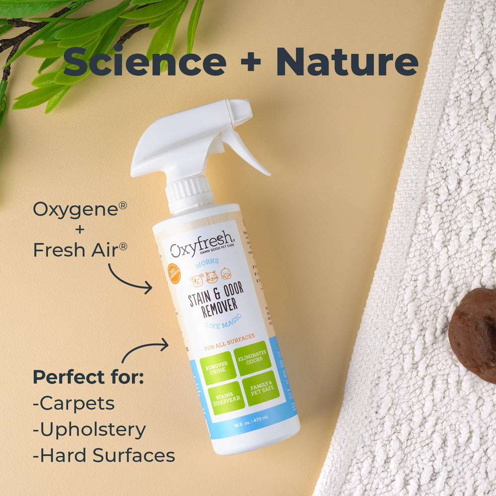 Oxyfresh Strong nettoyant-tapis-odeurs-sans-chimie, sûr pour les familles.