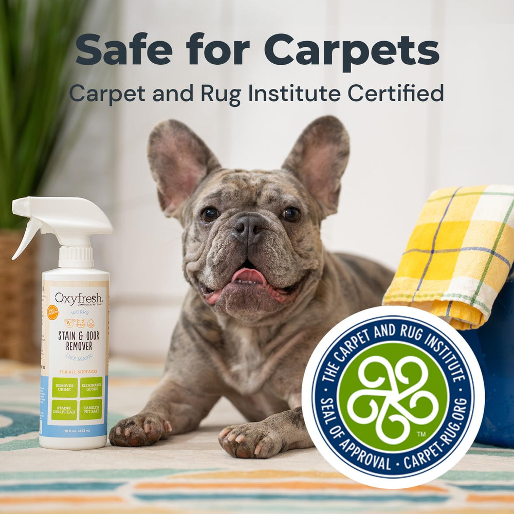 Oxyfresh Strong surface-sans-damages, adaptée aux tapis et mobilier.