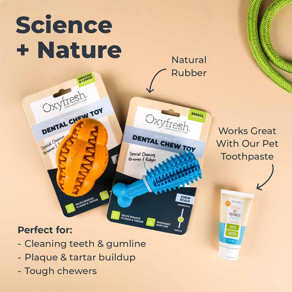 Oxyfresh jouet dent chi en, nettoyage des dents pendant la mastication