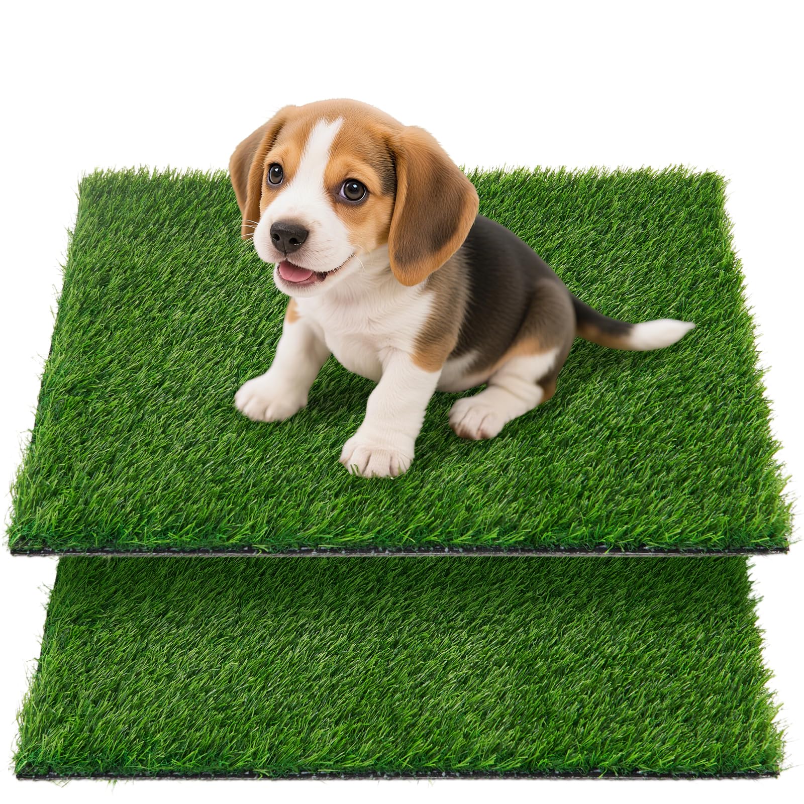 Tapis herbe artificielle Oiyeefo pour chiens, pratique pour pot en appartement.