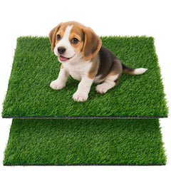 Tapis herbe artificielle Oiyeefo pour chiens, pratique pour pot en appartement.