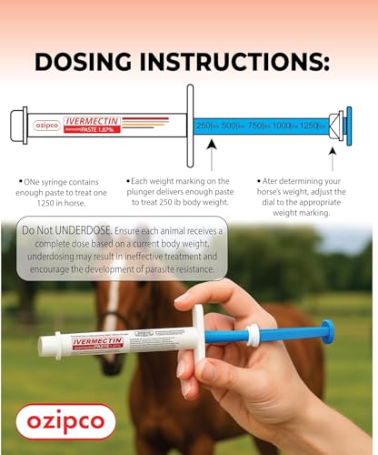 Seringue OZIPCO saveur pomme pour administration equine.