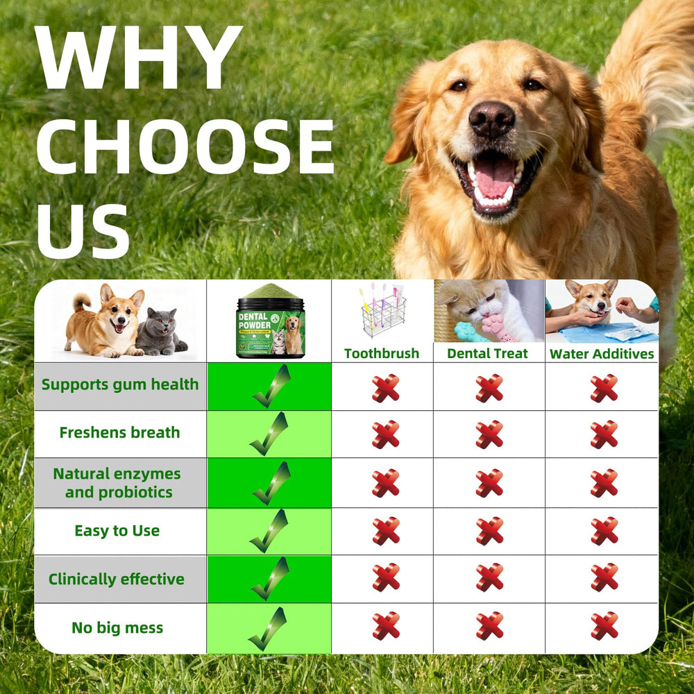 OZOXOO poudre dentaire chien avec enzymes naturels soutient gencives saines.