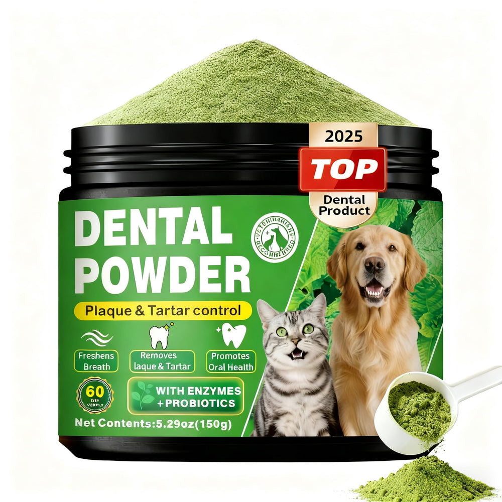 OZOXOO poudre dentaire chien utilisée quotidiennement pour haleine plus fraîche.