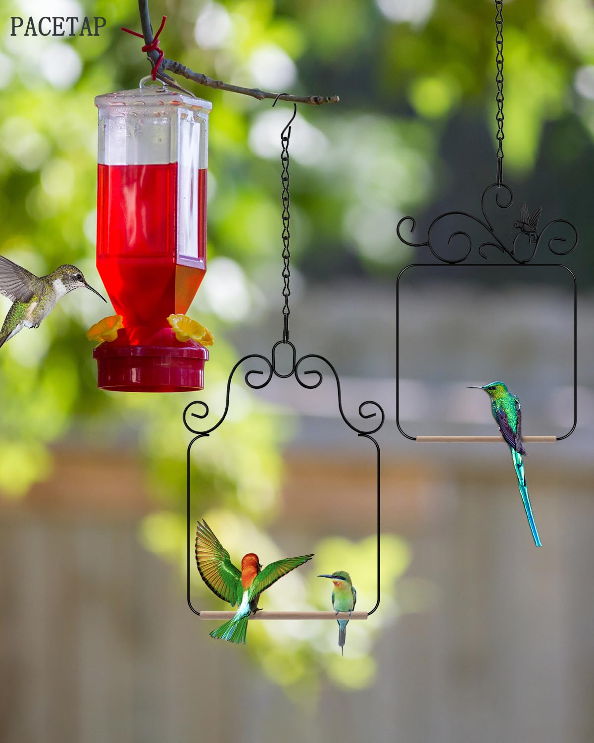 PACETAP perche colibri métal: perchage stable pour oiseaux