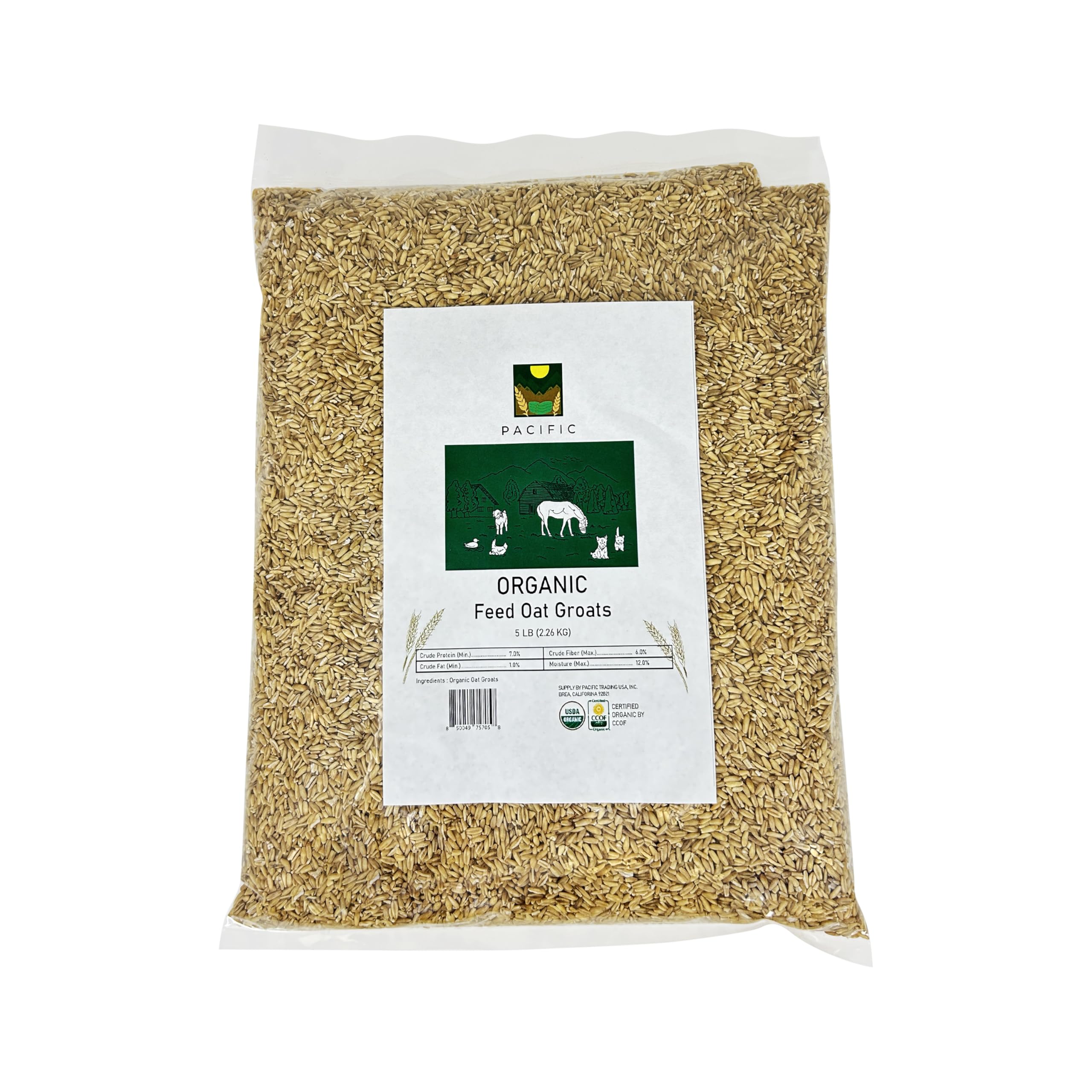 PACIFIC avoine entiers pour oiseaux — emballage pratique pour vos compagnons.