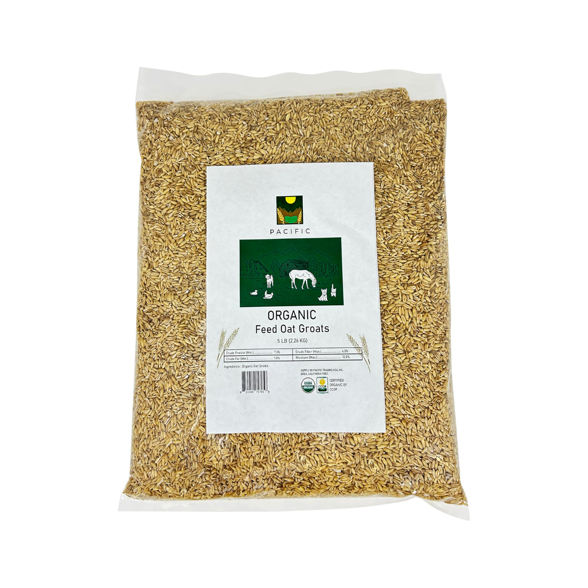 PACIFIC avoine entiers pour oiseaux — emballage pratique pour vos compagnons.