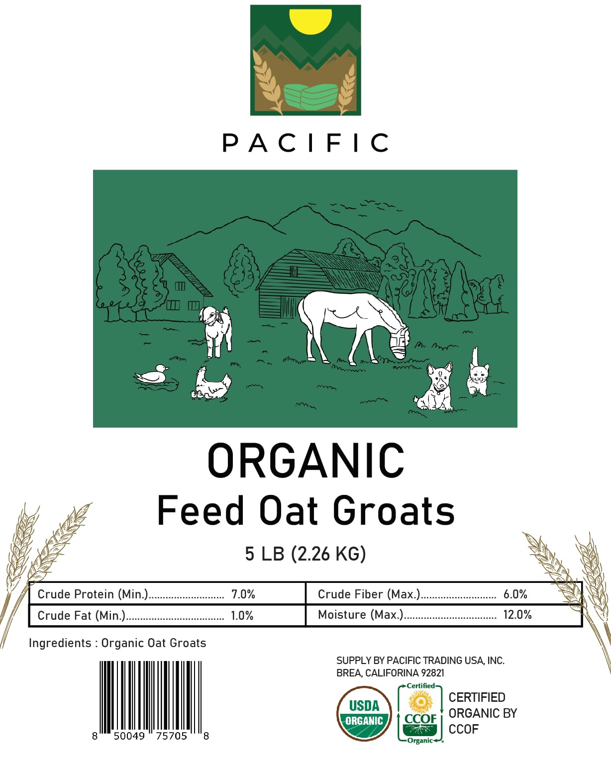 PACIFIC avoine entiers — préparation maison facile pour friandises d oiseaux.