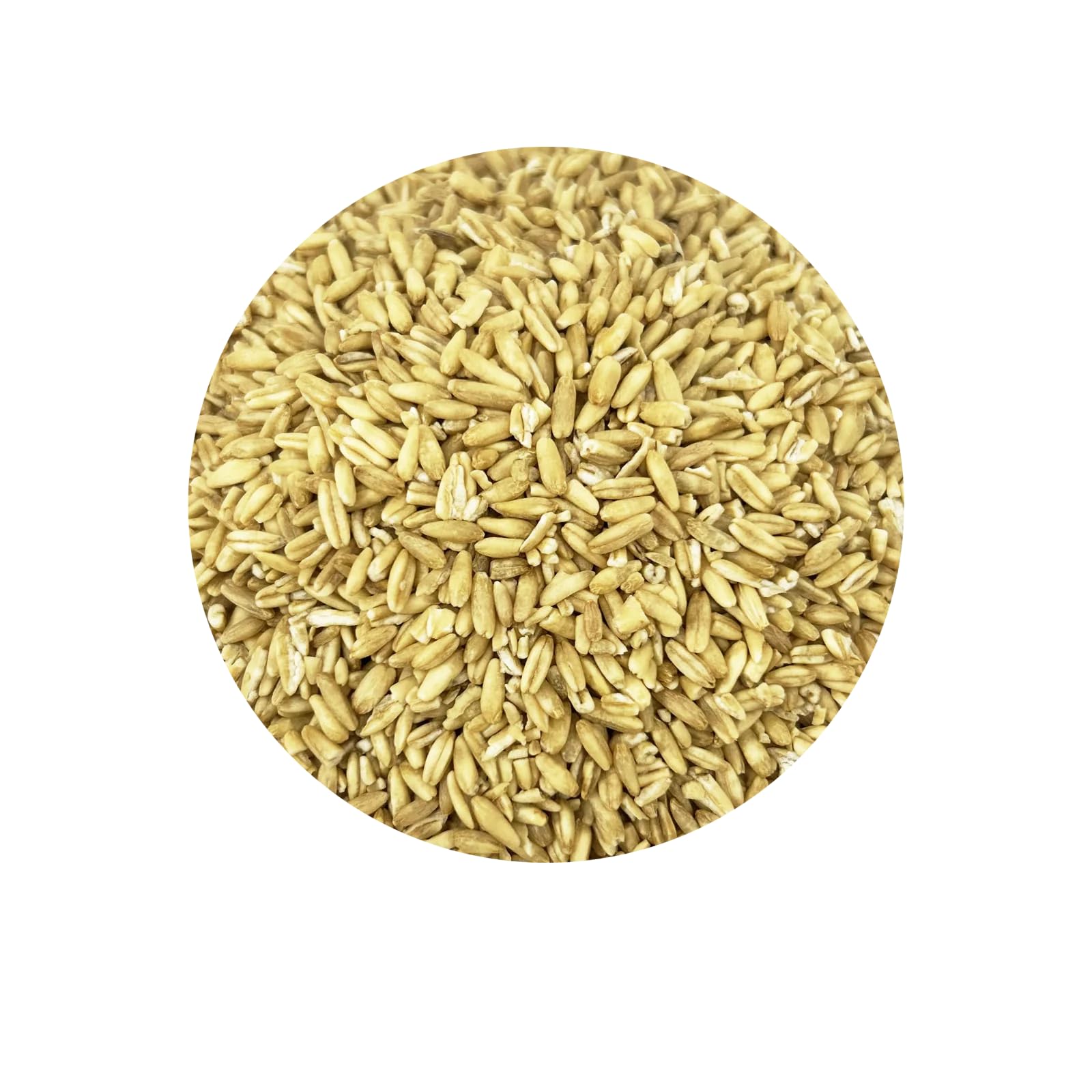 PACIFIC grains d avoine entiers — détails des grains pour varier l alimentation.