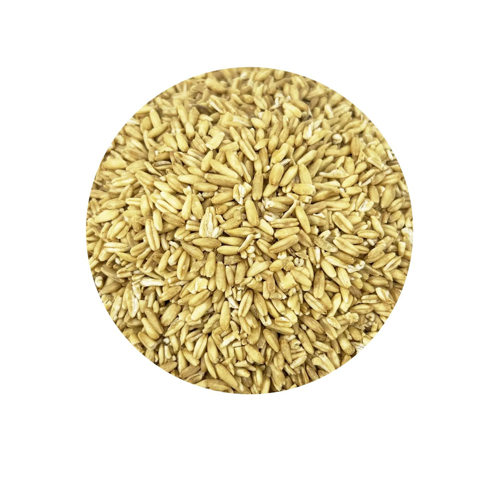 PACIFIC grains d avoine entiers — détails des grains pour varier l alimentation.