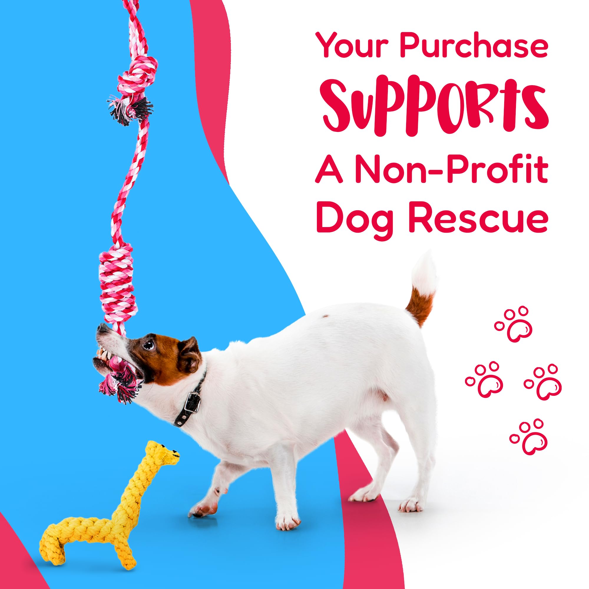 Pacific Pups Products – jouet corde grand format, robuste pour chiens actifs.