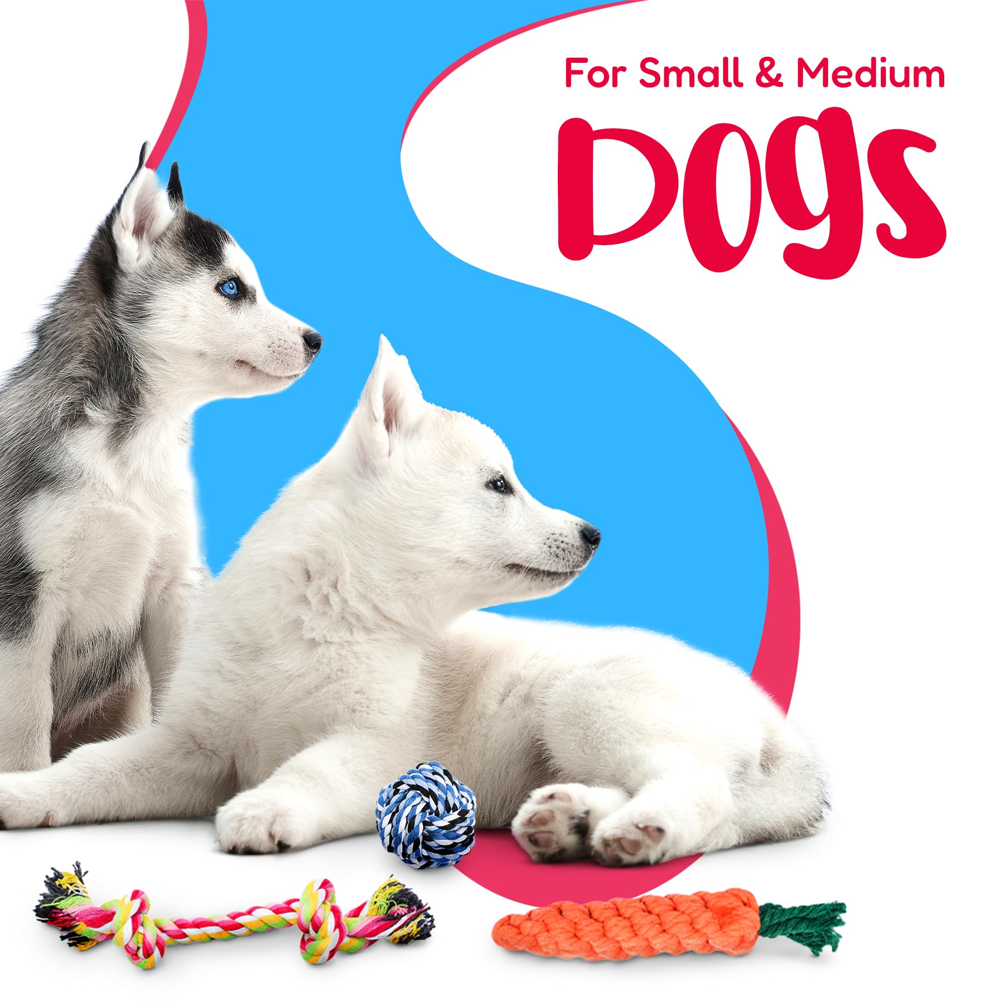 Pacific Pups Products – jouet corde petit format, parfait pour les petits chiens.