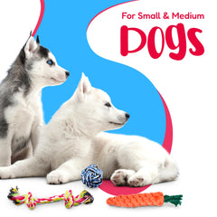 Pacific Pups Products – jouet corde petit format, parfait pour les petits chiens.