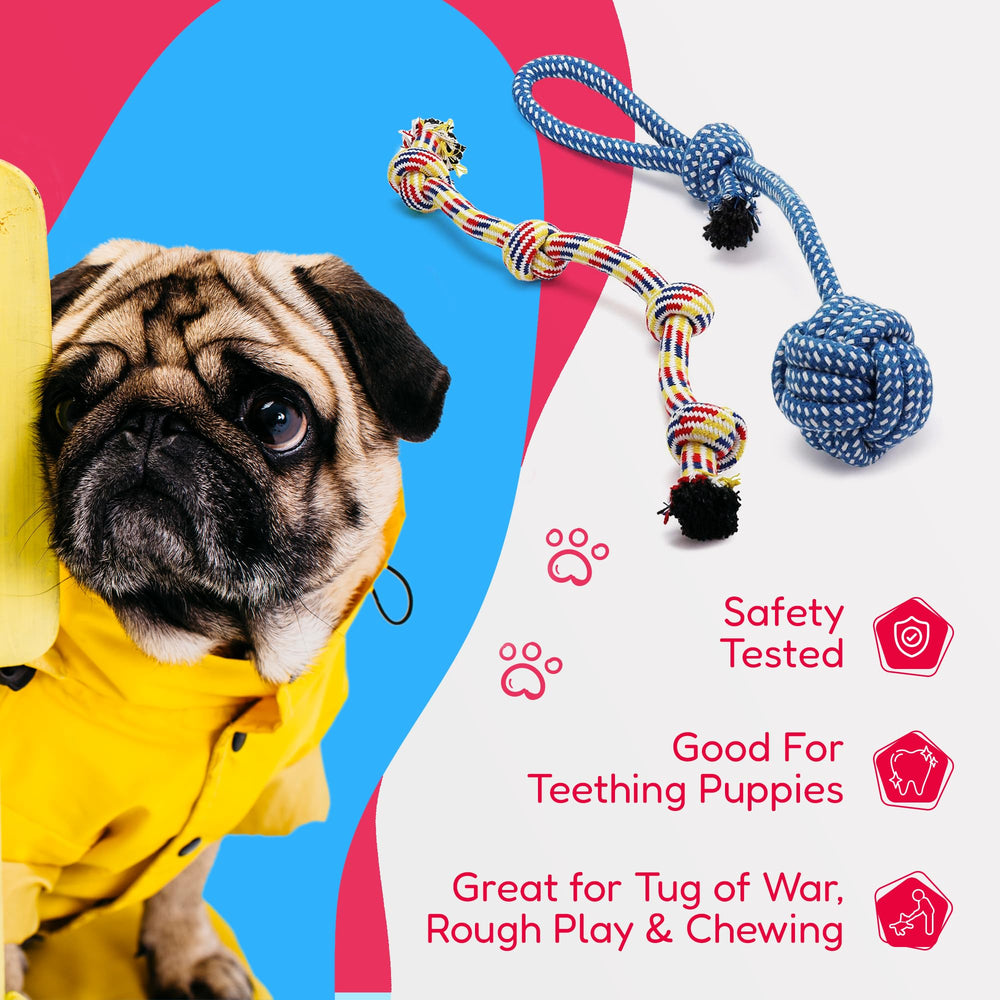 Pacific Pups Products – jouet corde dentaire carotte, distraction et plaisir masticatoire.