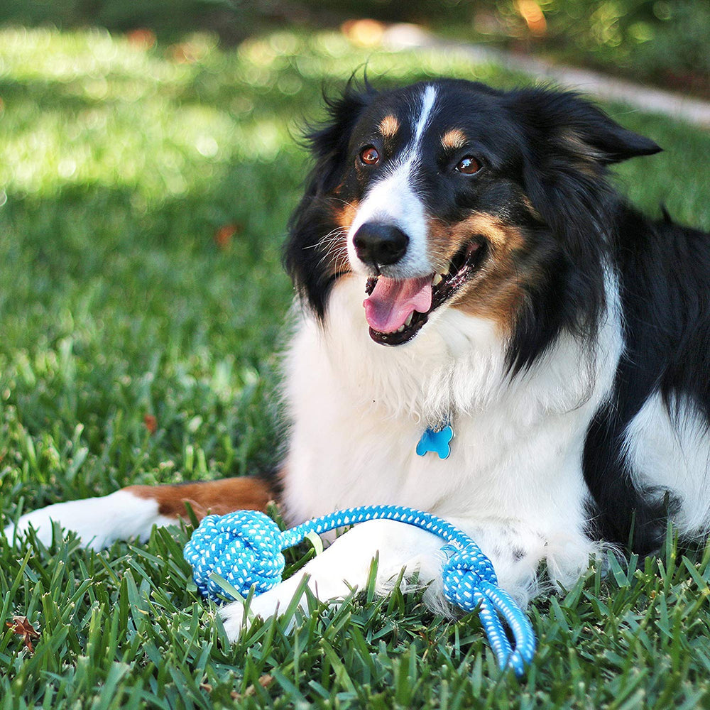 Pacific Pups Products – jouet corde interactif, favorise le jeu en duo avec vous.