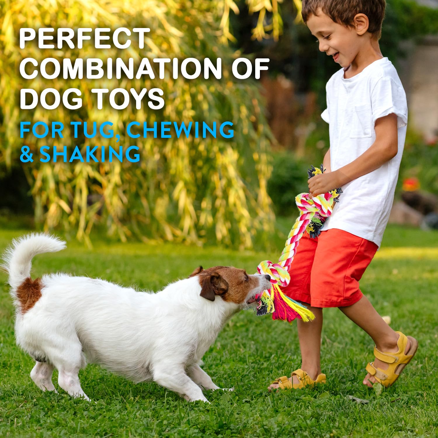 Pacific Pups Products – corde coton sans plastique, sécurité et durabilité.