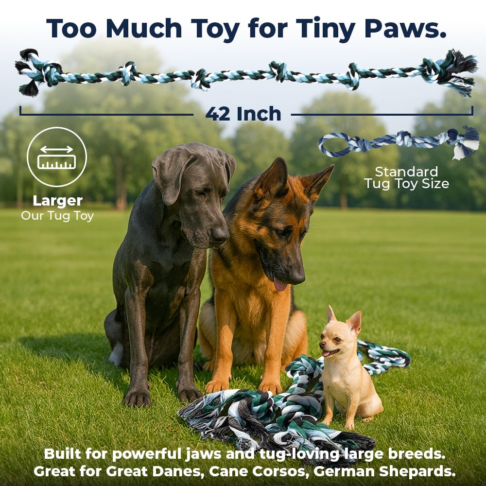 Pacific Pups Jouet Tug quasi-indestructible: parfait pour chiens grands et actifs