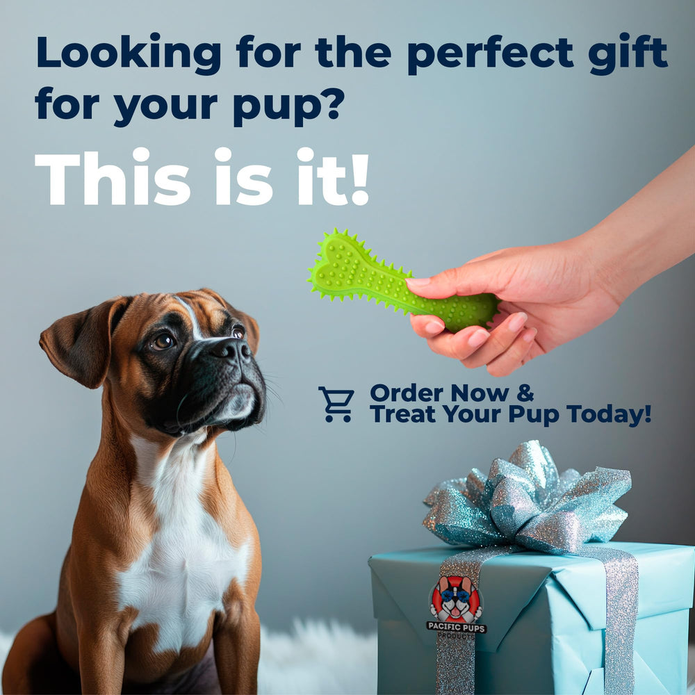 Pacific Pups jouets adaptés pour chiens moyens et petits, variété adaptée à votre chien.
